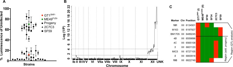 FIG 2