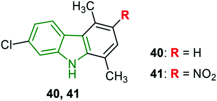 Fig. 13