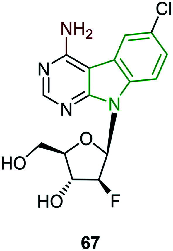 Fig. 21