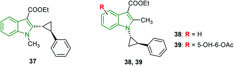 Fig. 12