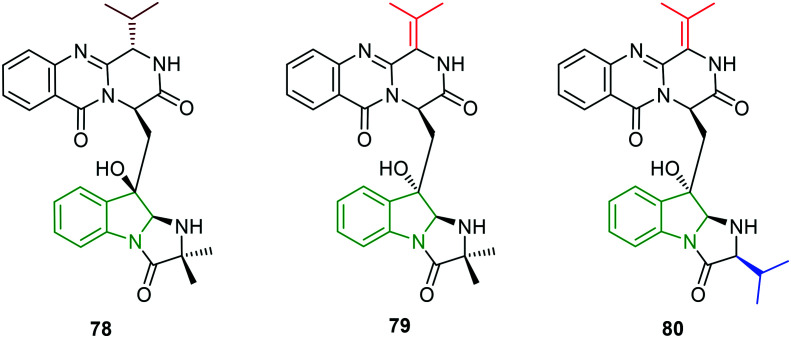 Fig. 25