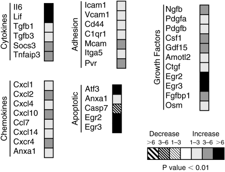 FIG. 6.