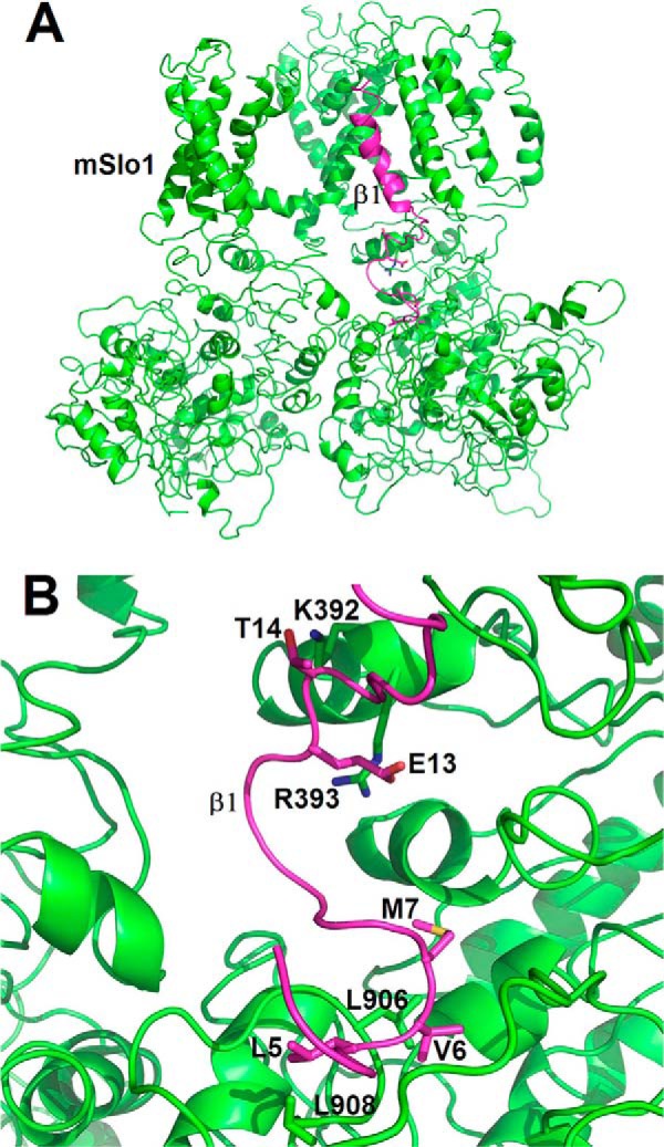 FIGURE 5.