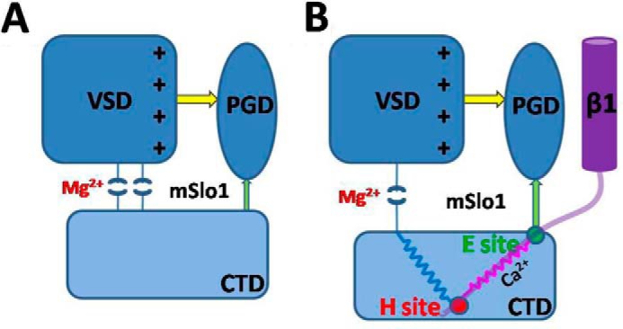 FIGURE 7.