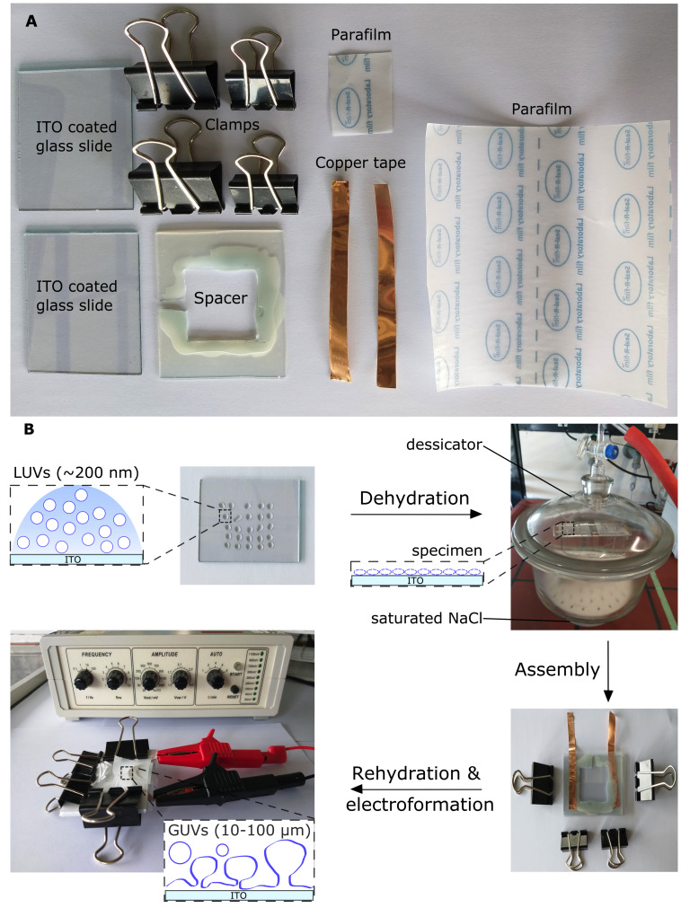 Figure 2.