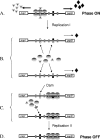 FIG. 4.