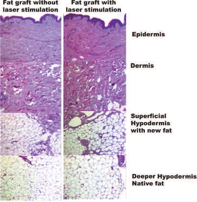 Figure 5: