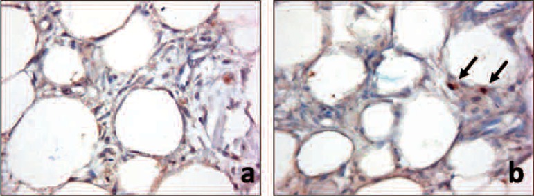 Figure 4: