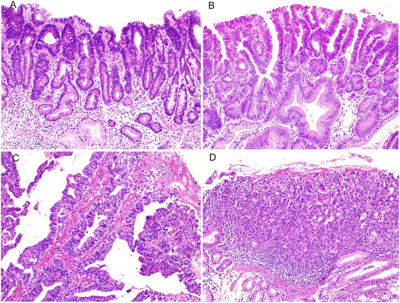 Fig 1