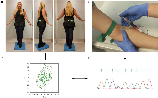 FIGURE 1