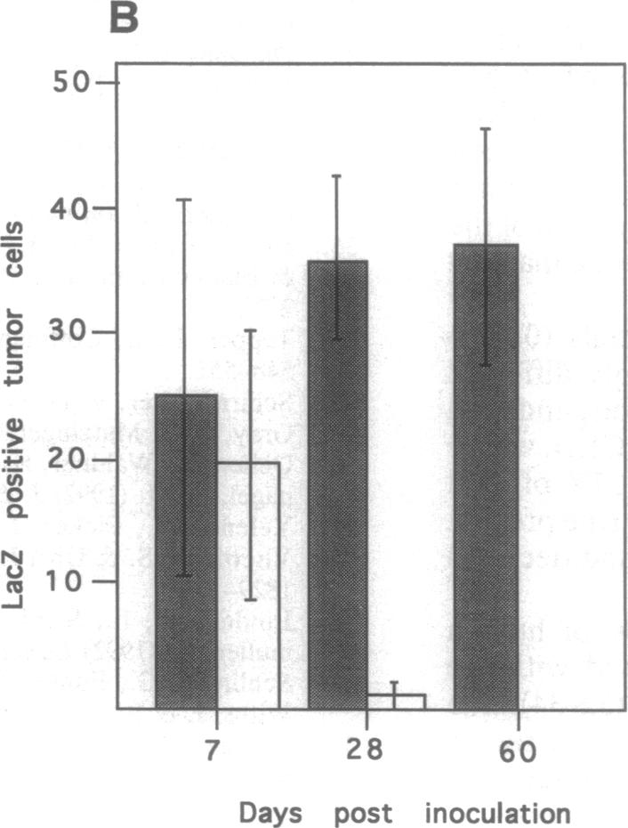 graphic file with name pnas01138-0062-a.jpg