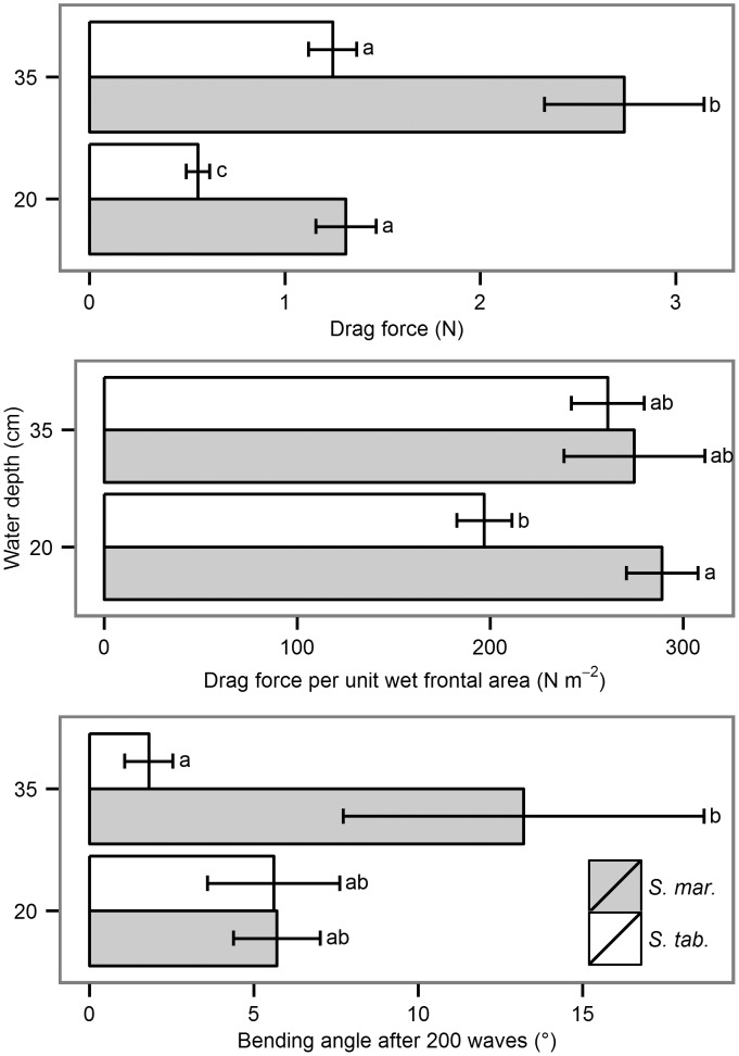 Fig 5