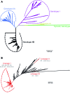 Fig. 1: