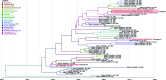 Fig. 3: