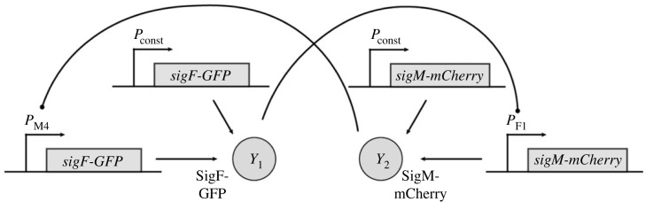 Figure 7. 