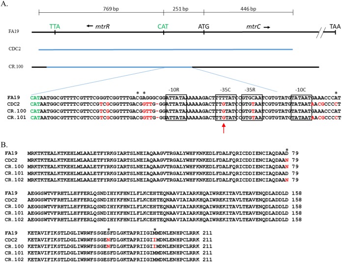 FIG 3