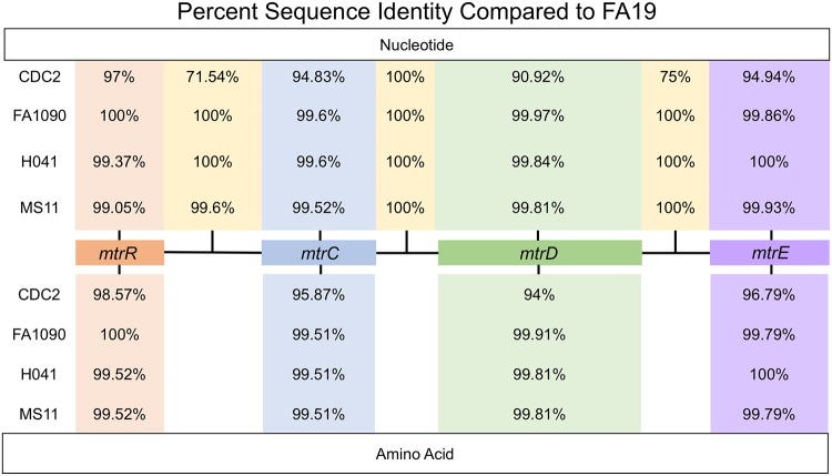 FIG 1