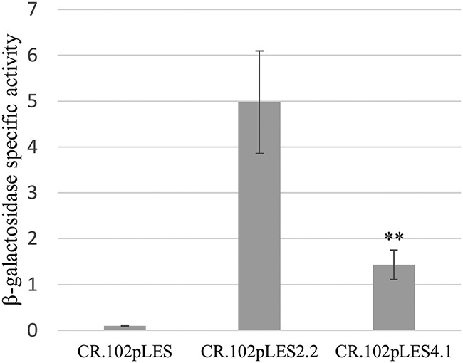 FIG 5