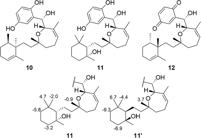 Fig. 5