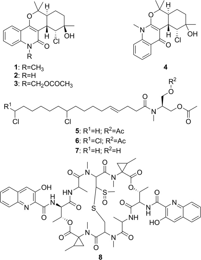 Fig. 2