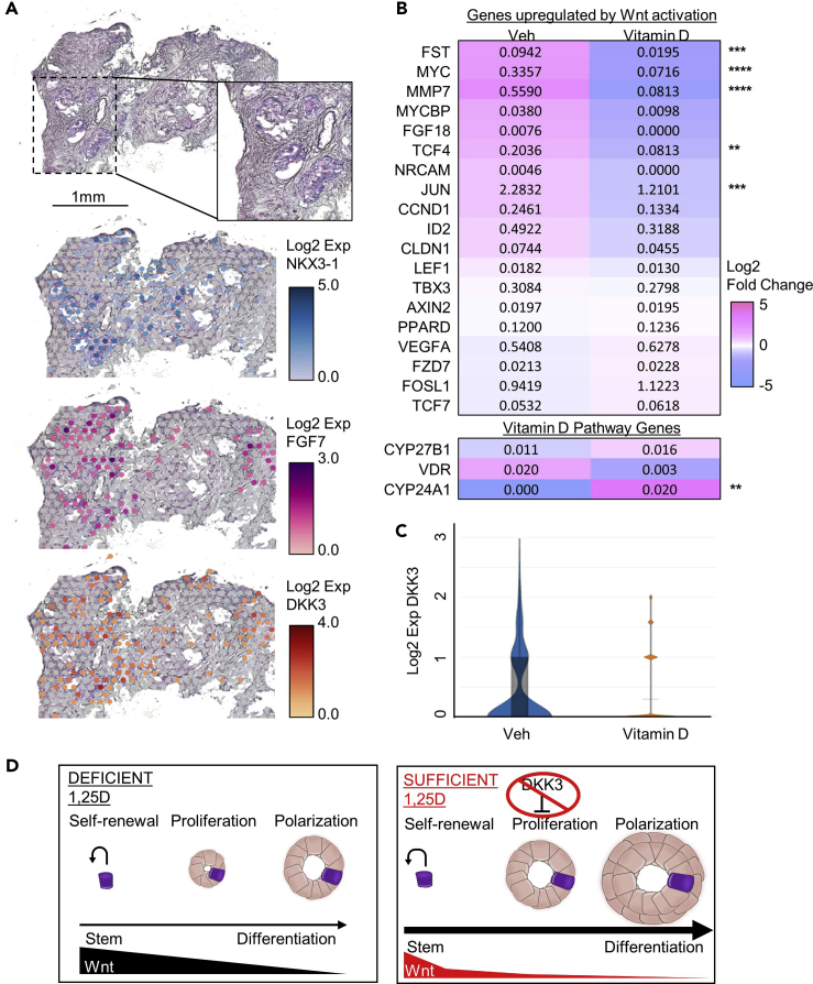 Figure 6