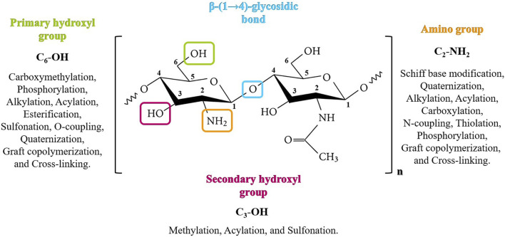 FIGURE 3