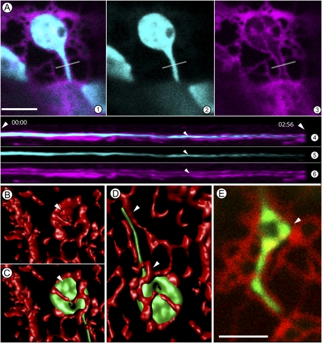 Figure 3.