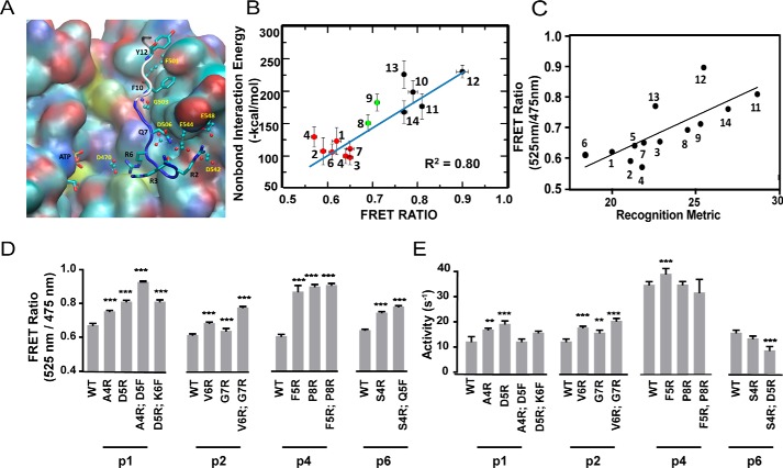 Figure 2.