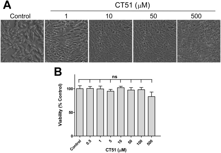 Fig 4