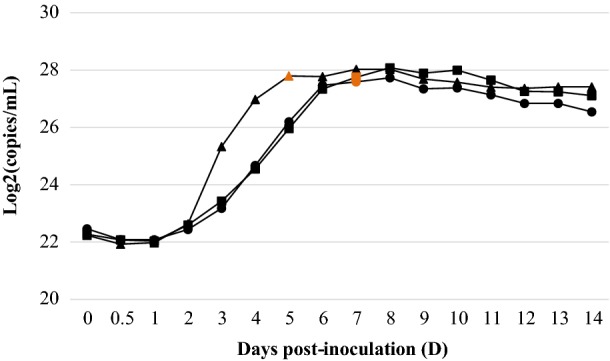 Figure 5