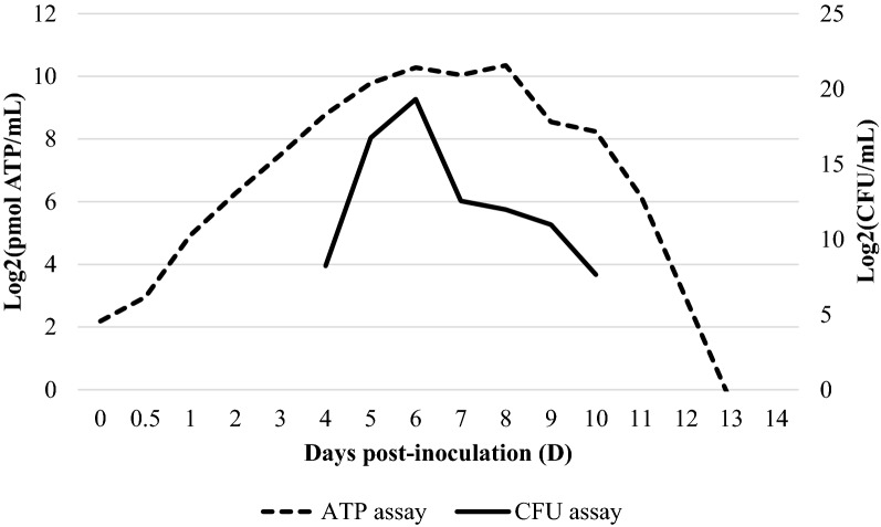 Figure 4