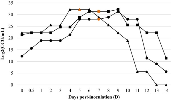 Figure 2