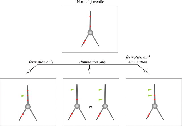 Figure 13.