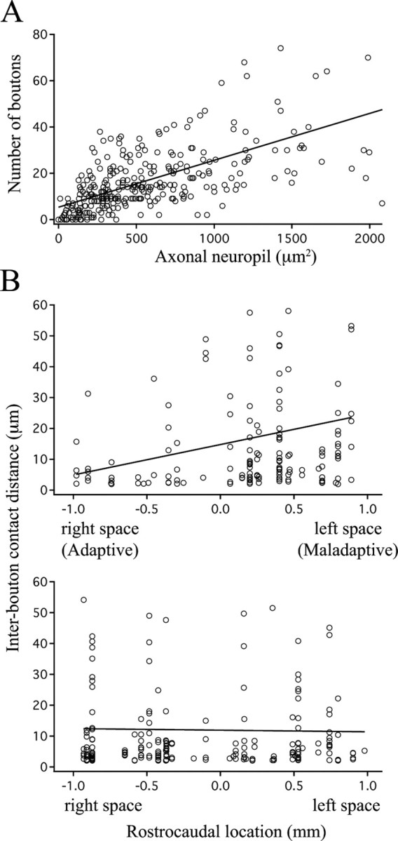 Figure 10.