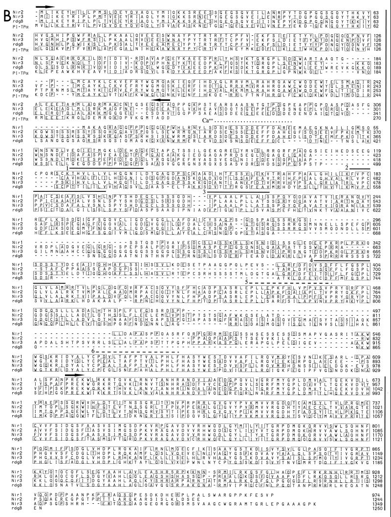 FIG. 1