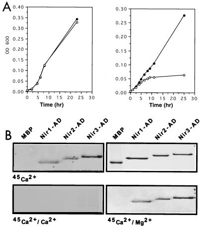 FIG. 3