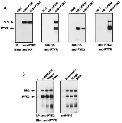 FIG. 7