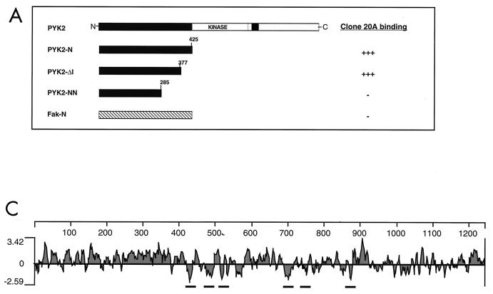 FIG. 1