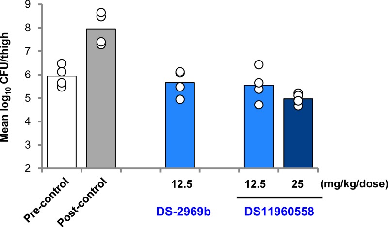 FIG 6