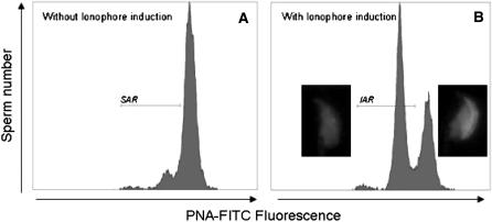 Figure 7.—