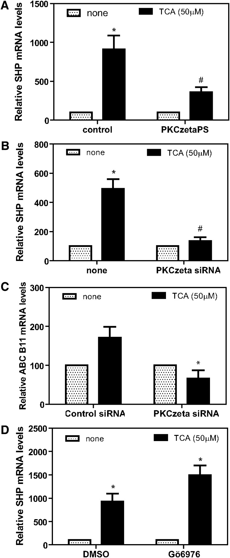 Fig. 8.