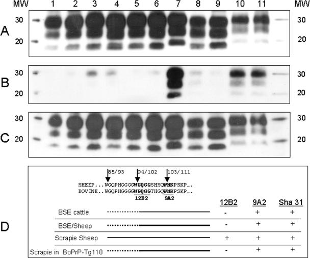 FIG. 4.