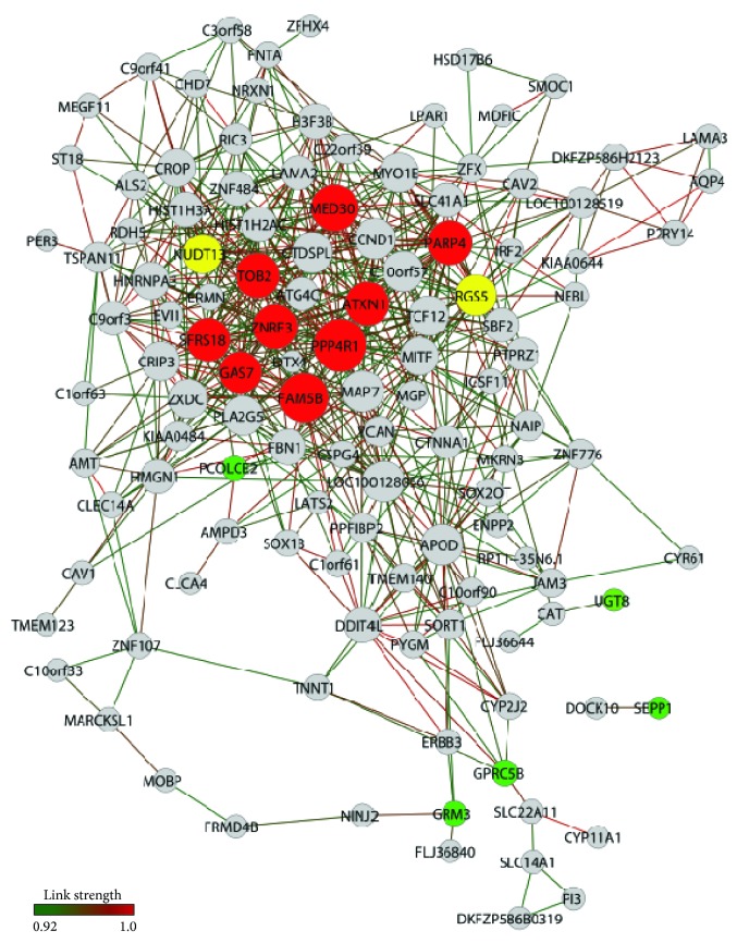 Figure 4