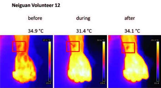 Fig. 8: