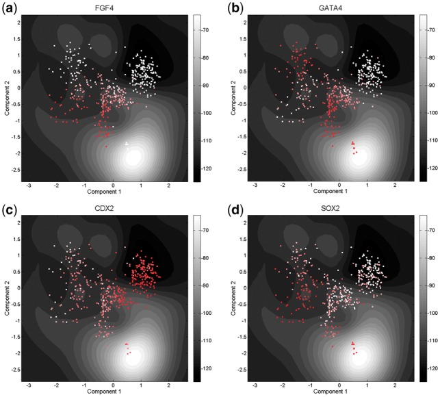 Fig. 3