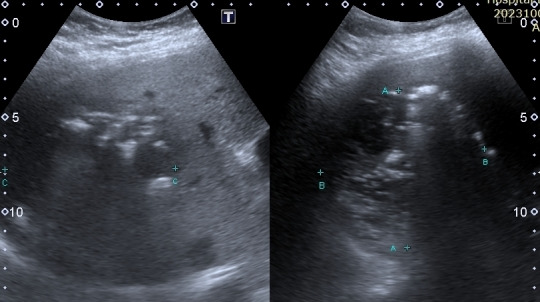 Figure 2 