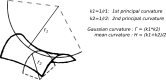 Appendix 1—figure 1.