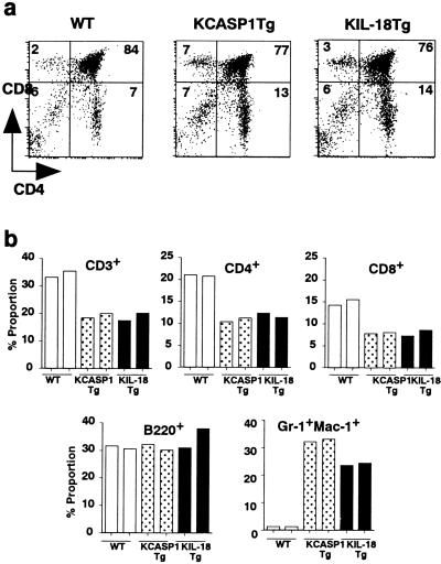 Fig 2.