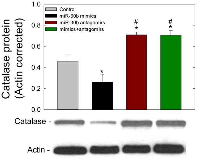 Figure 6