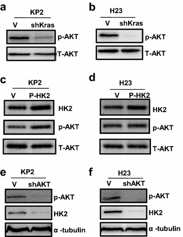 Fig. 5